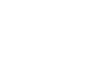 Pivot Cycles Australia